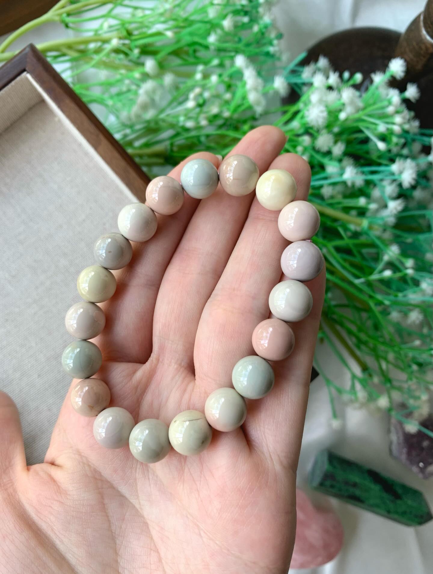 Pastel Alashan 糖果阿拉善 