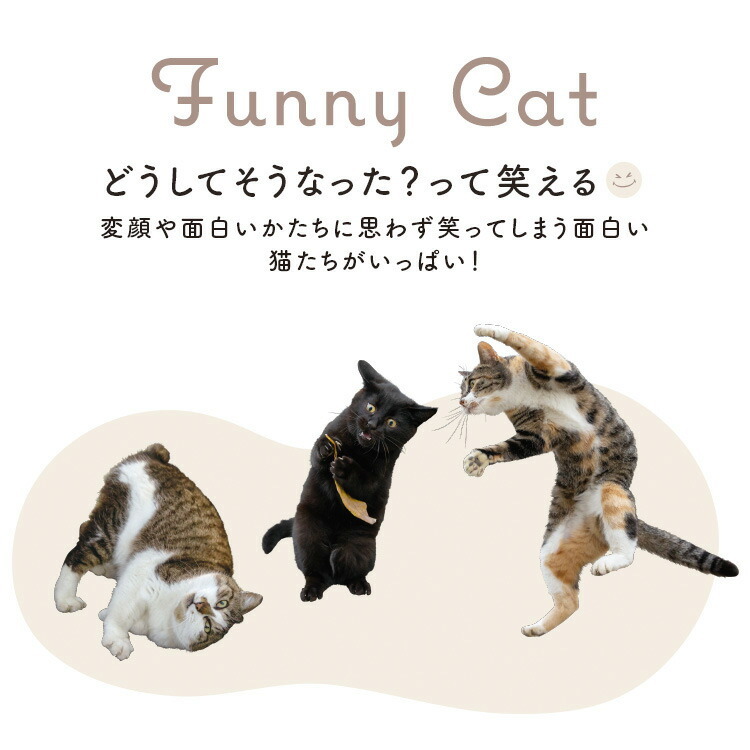 [現貨] [日本直送] WPC｜MASAYUKI OKI｜透明 ｜長遮 {TF2302128}