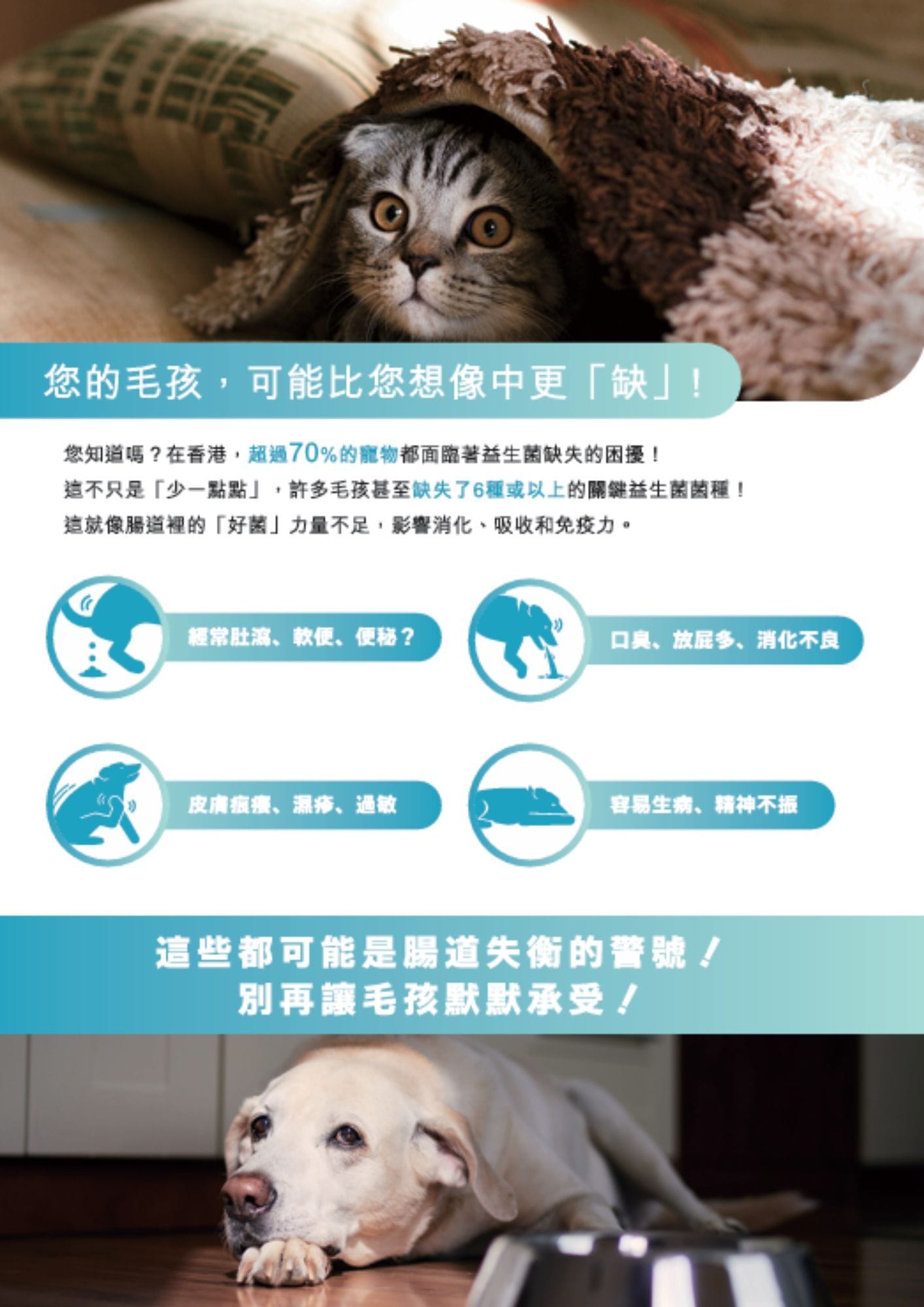 PawsBiome寵物腸道細菌核酸測試