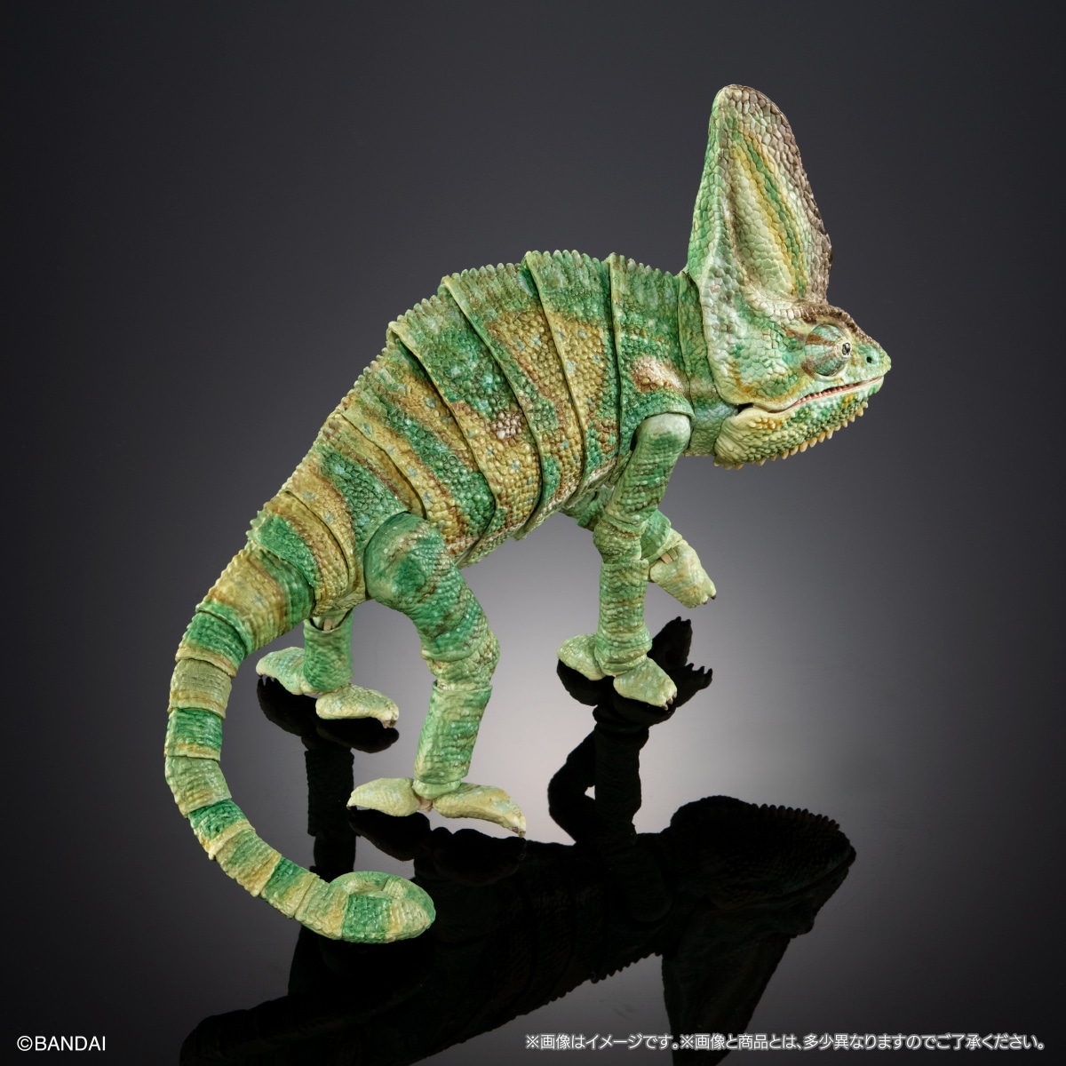 (預訂訂金 $200) (總價 $605) (Gashapon Online 限定) Bandai The Diversity of Life on Earth Premium Chamaeleo Calyptratus 生物大圖鑑 Premium 高冠變色龍 扭蛋 (行版) 