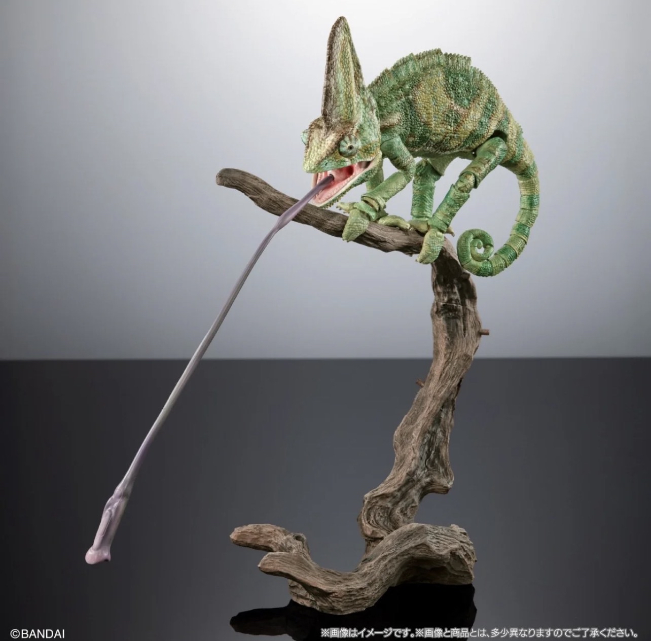 [魂SHOP限定] 生物大圖鑑 高冠變色龍 