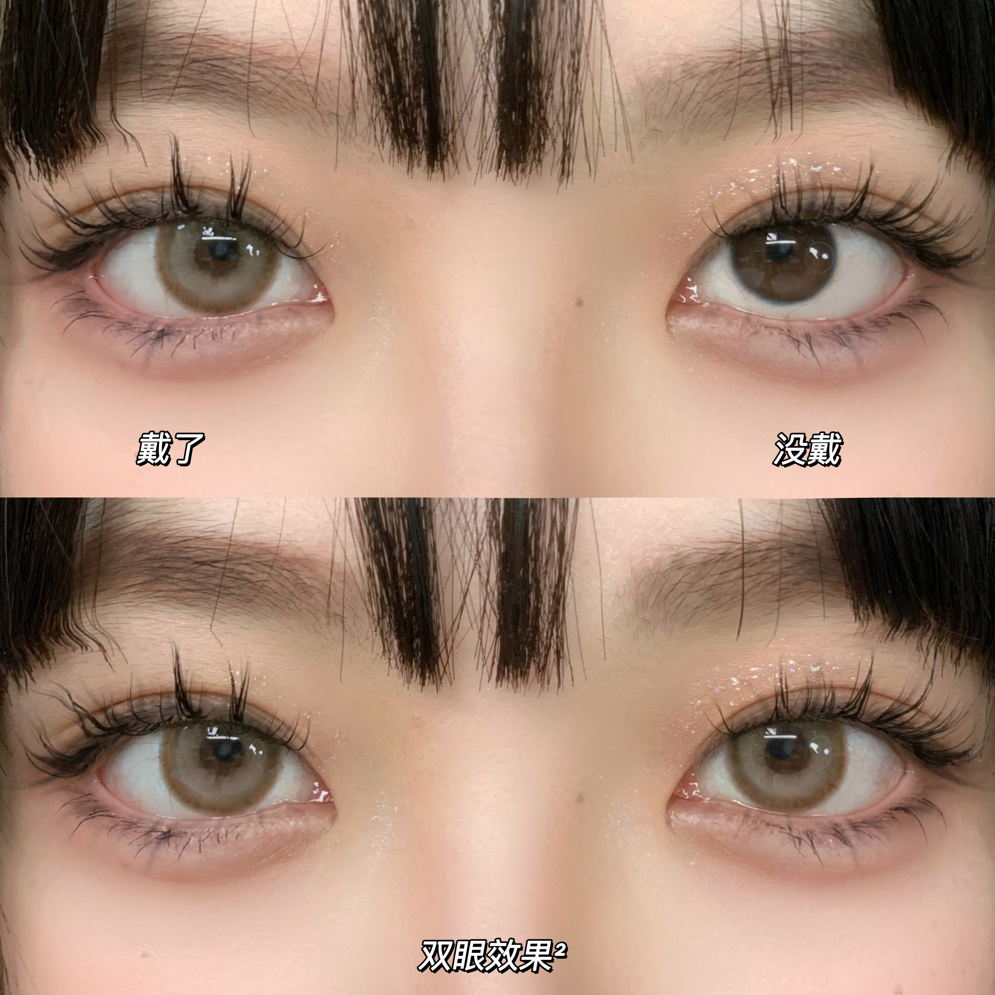 Serltyca 日拋6片裝 青木米灰/青木淺駝