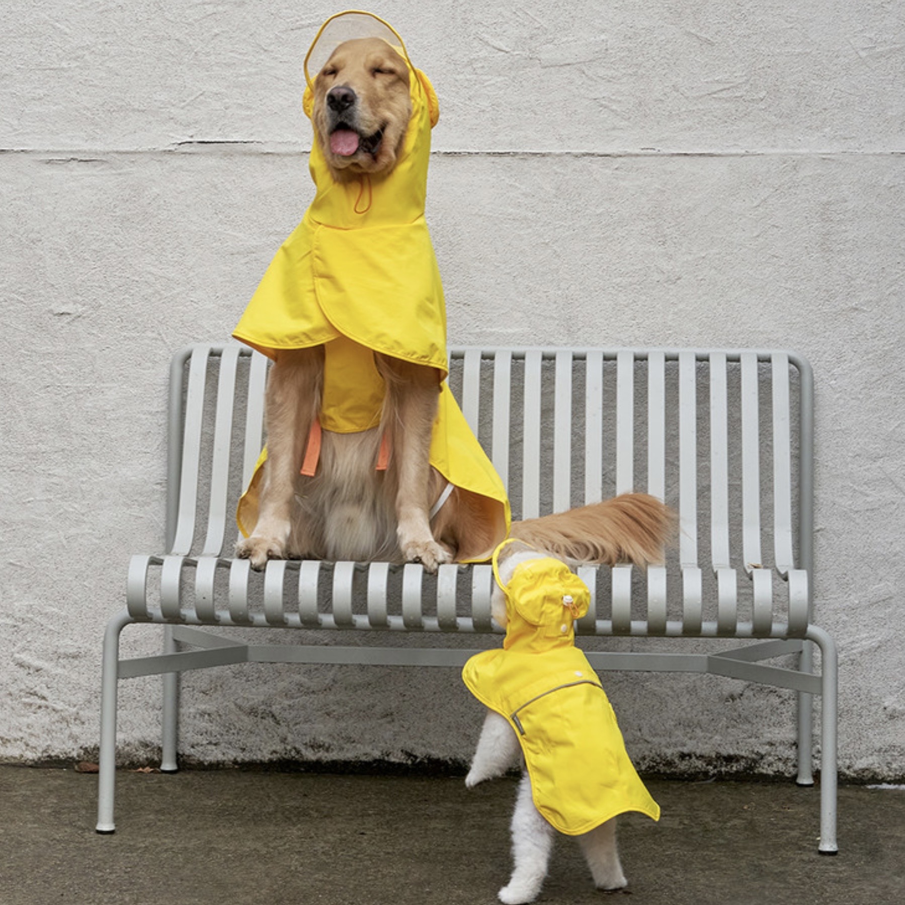 *SuperPet🇰🇷狗狗主人親子裝 雨衣-狗狗雨衣