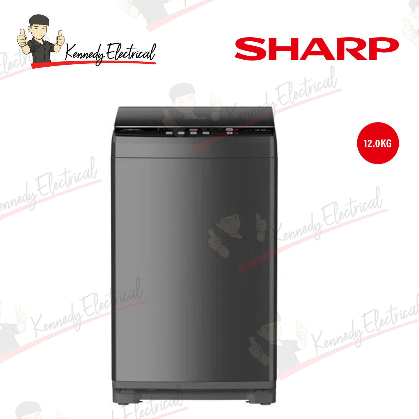 Sharp 12kg DD Inverter Top Load Washer (ESW12SM)