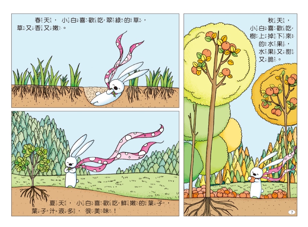 京采 兔子小白益智遊戲繪本：小白和樹木