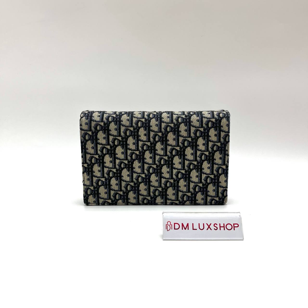 Dior Saddle Oblique WOC GHW