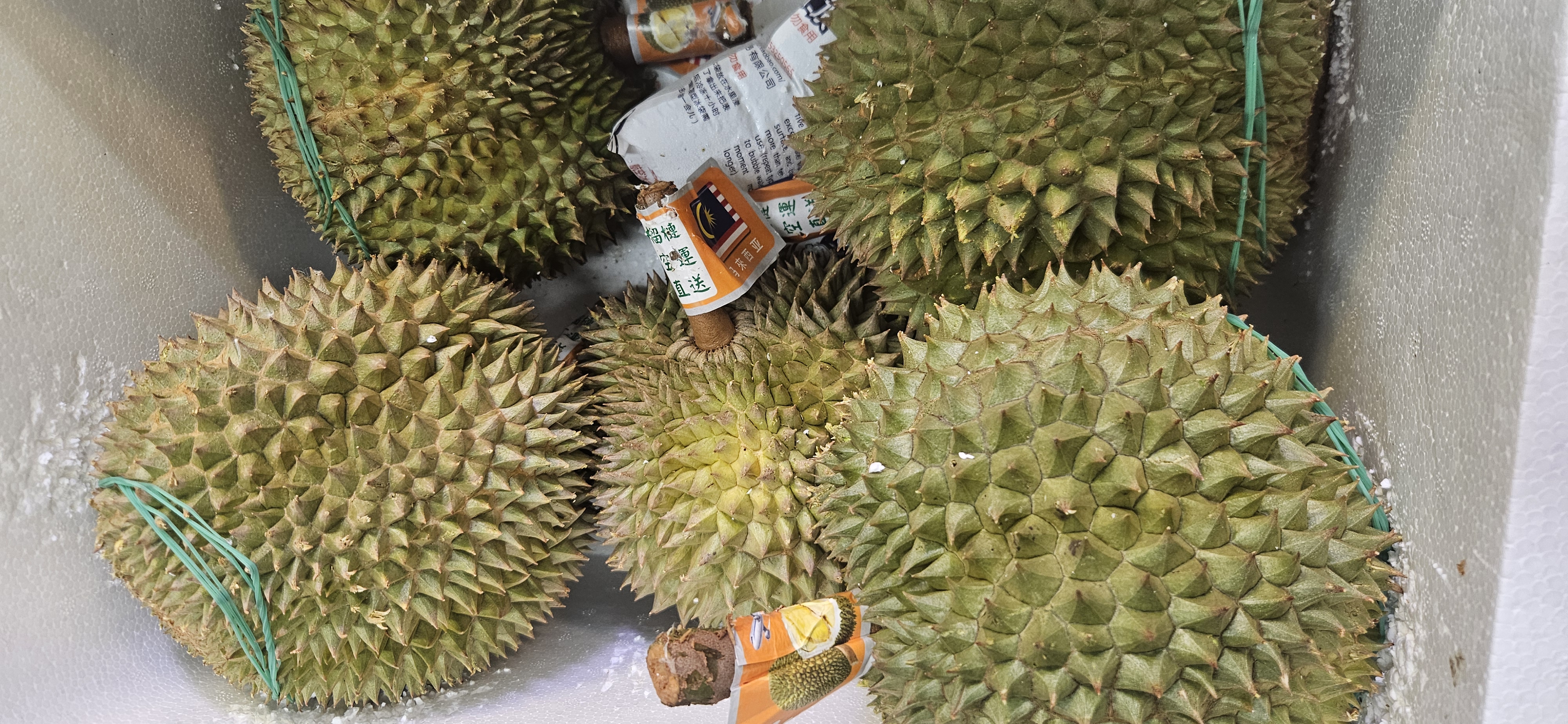 馬来西亞黑刺（D200)榴槤 每個约4.5磅