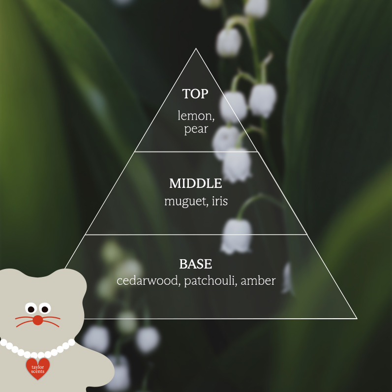 [taylor scents x MNH] 公仔匙扣及香水套裝 (3款)