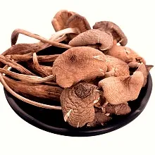 CA025 雞樅菌 100g (極品鮮香)