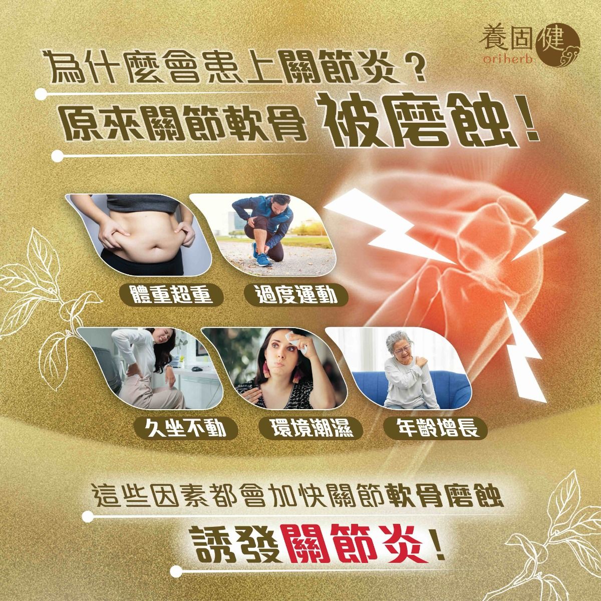 養固健立邁健氨糖軟骨素片