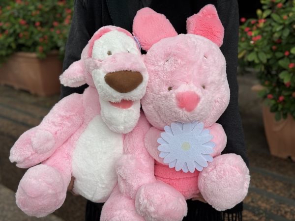 （約4月下旬到貨）🇹🇼台灣超商高雄限定小熊維尼家族櫻花季限定配色大公仔💕