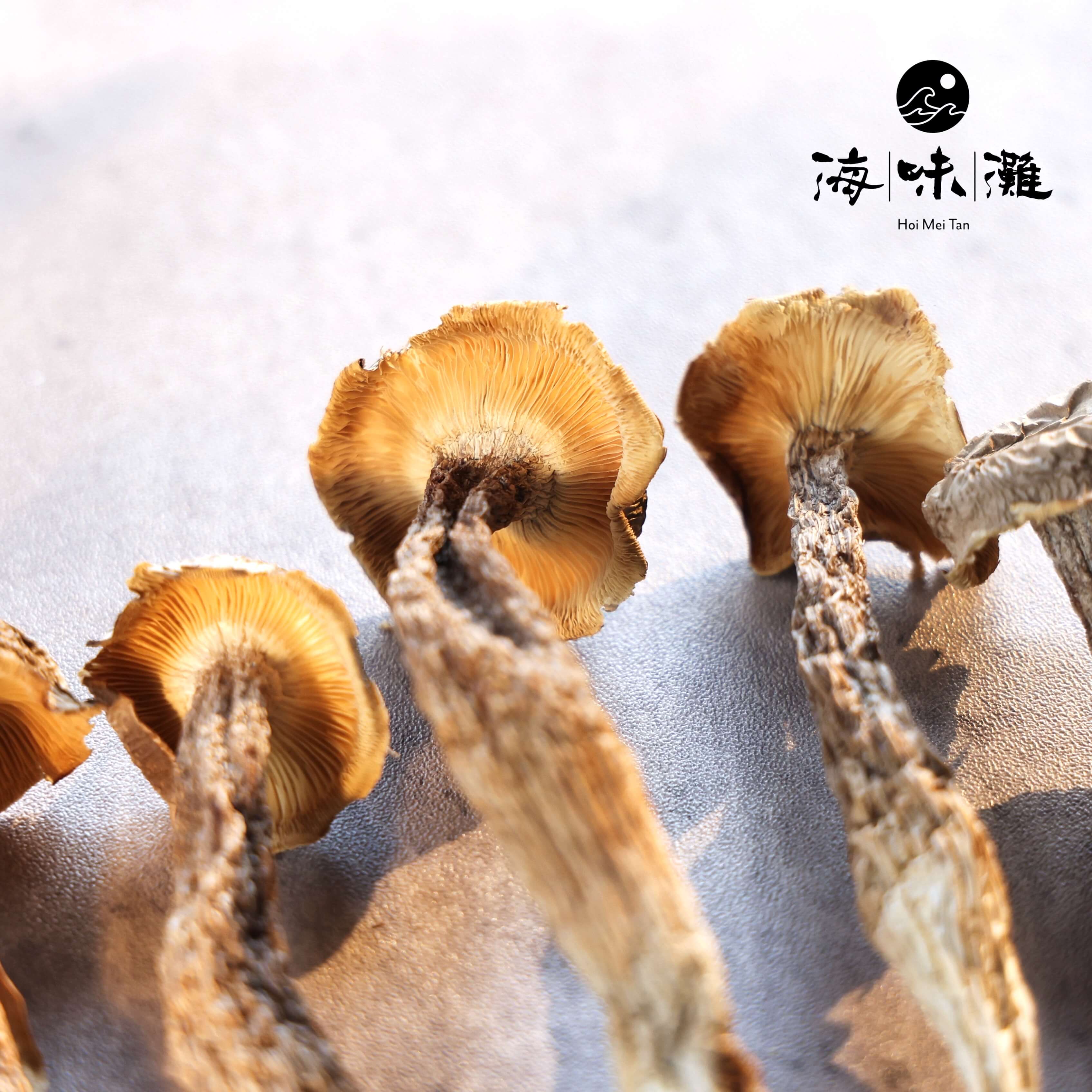特級鹿茸菇－清香撲鼻｜爽脆可口