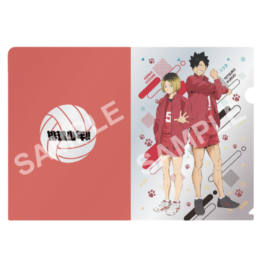 排球少年!! 資料夾 音駒高校