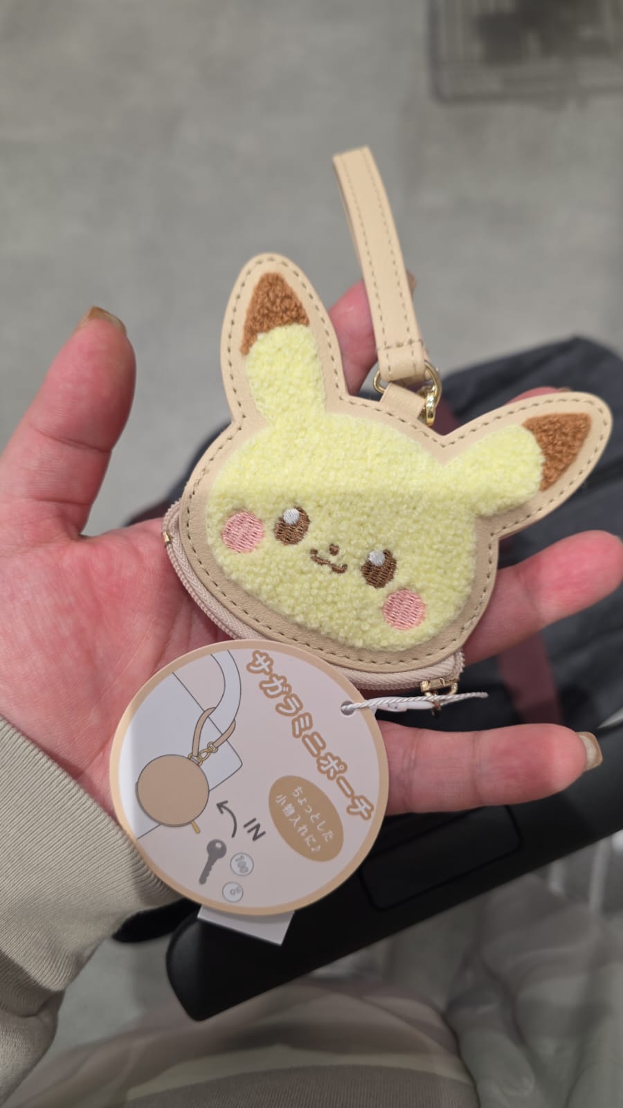 Pokémon 雷超coin bag