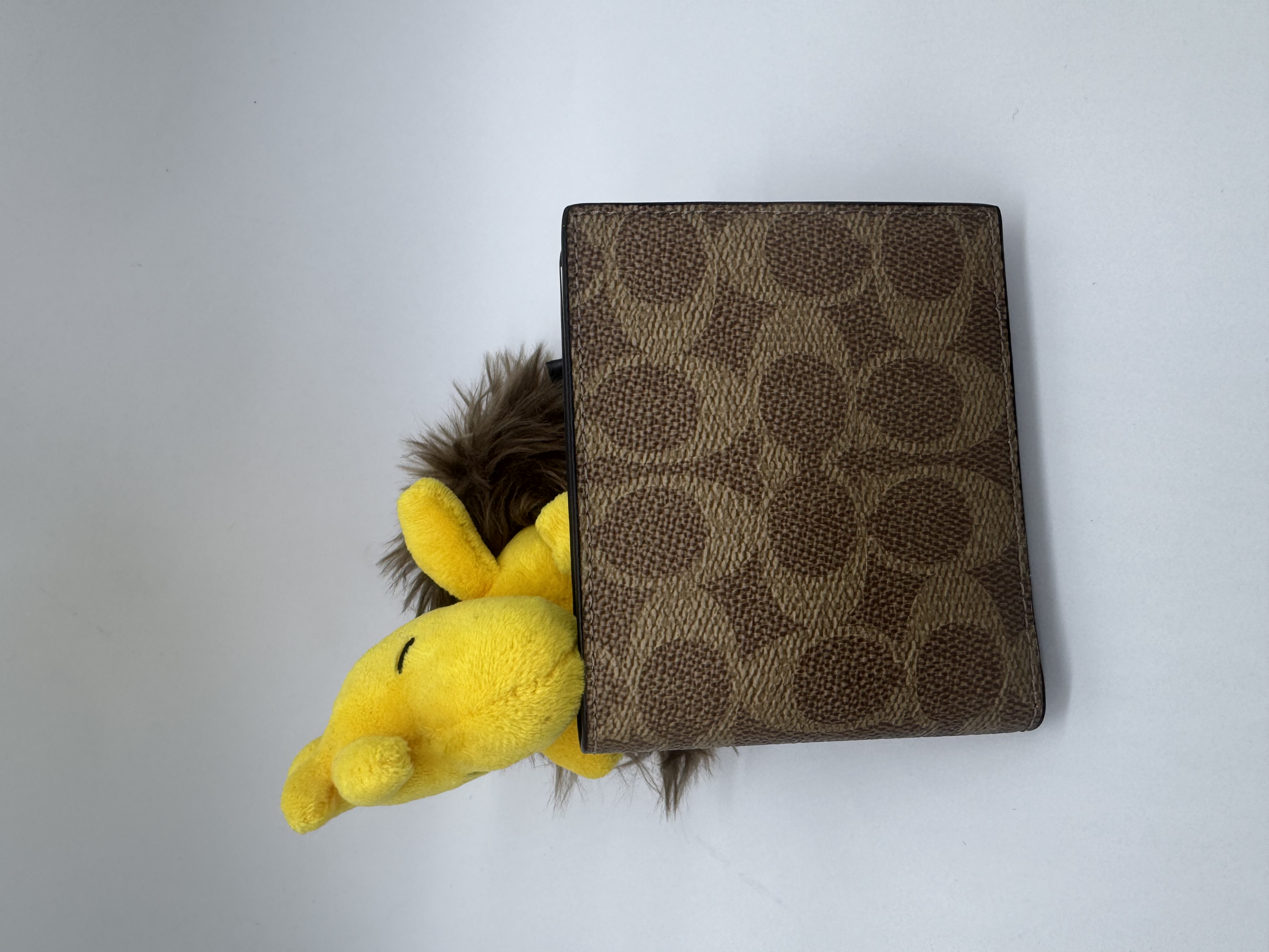 🇺🇸✈️🇨🇦傳統又實用嘅Coach outlet 簡單約啡色Signature C pattern 對摺銀包🤎現貨🤓😎