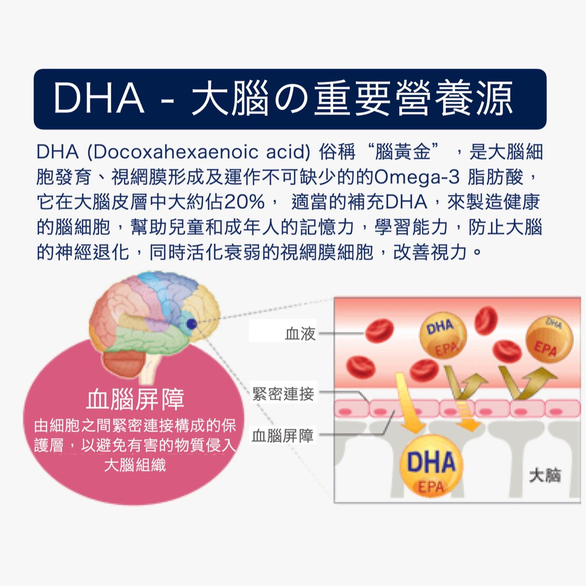 LA004 Innopharm 95%腦健康魚油(藍盒魚油)【買3盒送1盒 】 紅盒&藍盒可以混搭