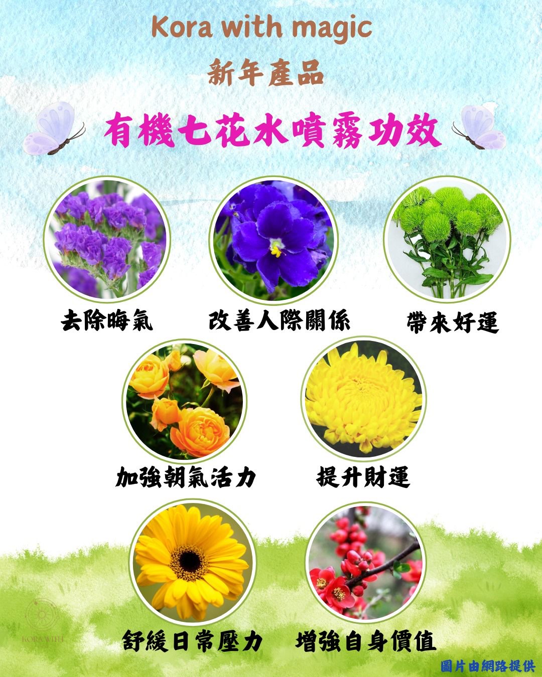 有機七花水噴霧