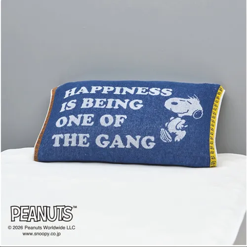 日本直送~新款Snoopy毛巾枕頭套 藍黃色