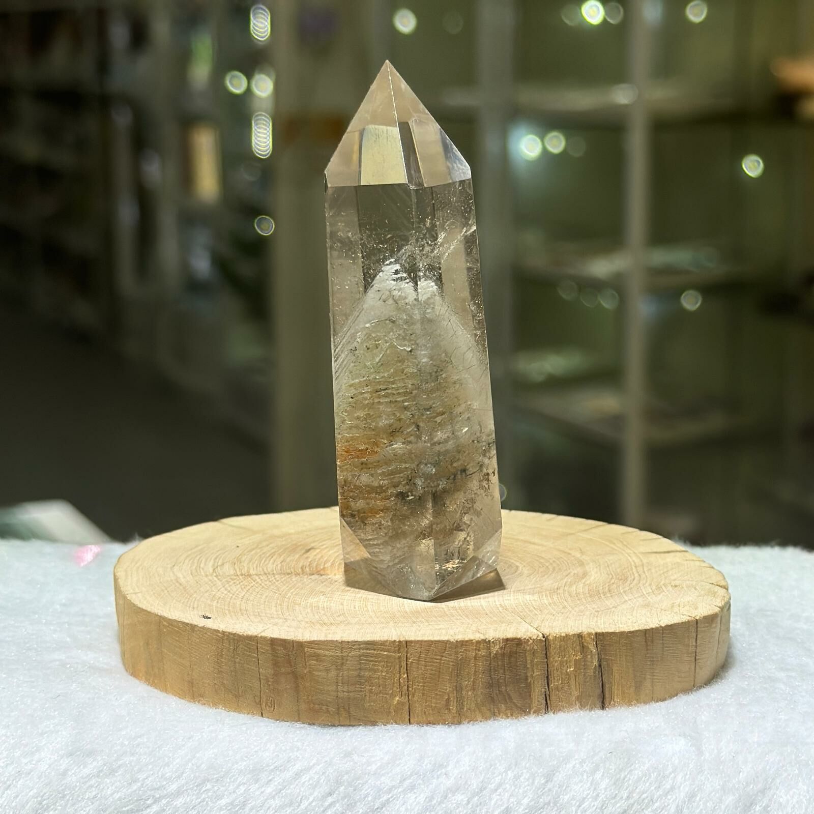 千層白幽靈柱 - 2