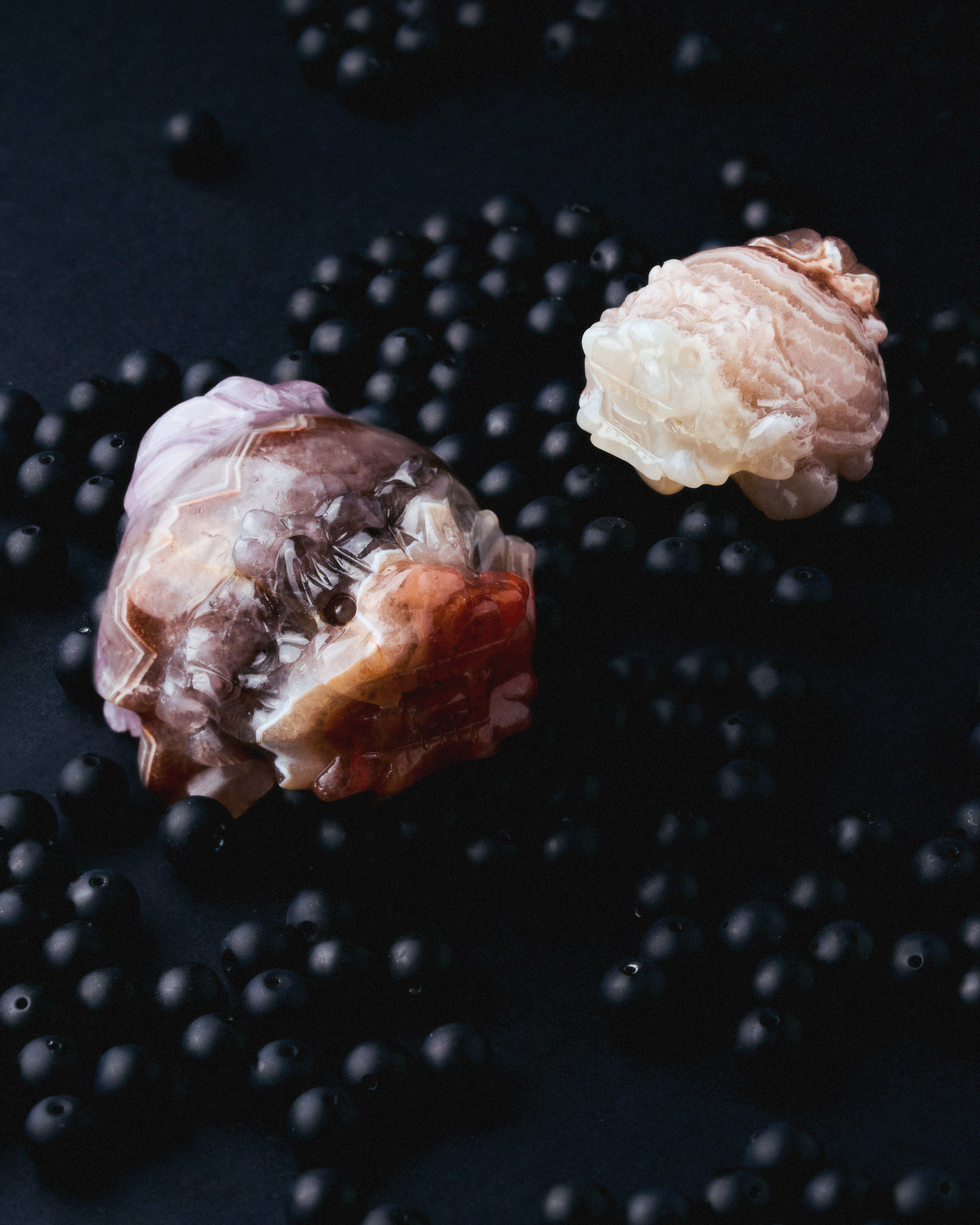 Ignite Root Dragon Turtle