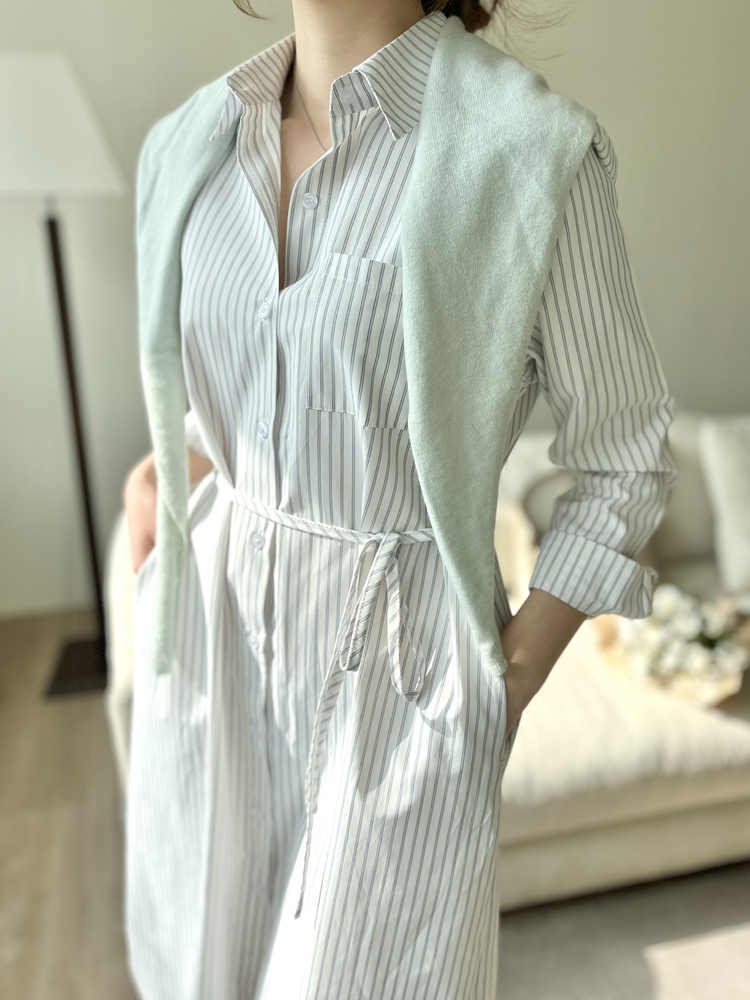 The Striped Shirt Dress