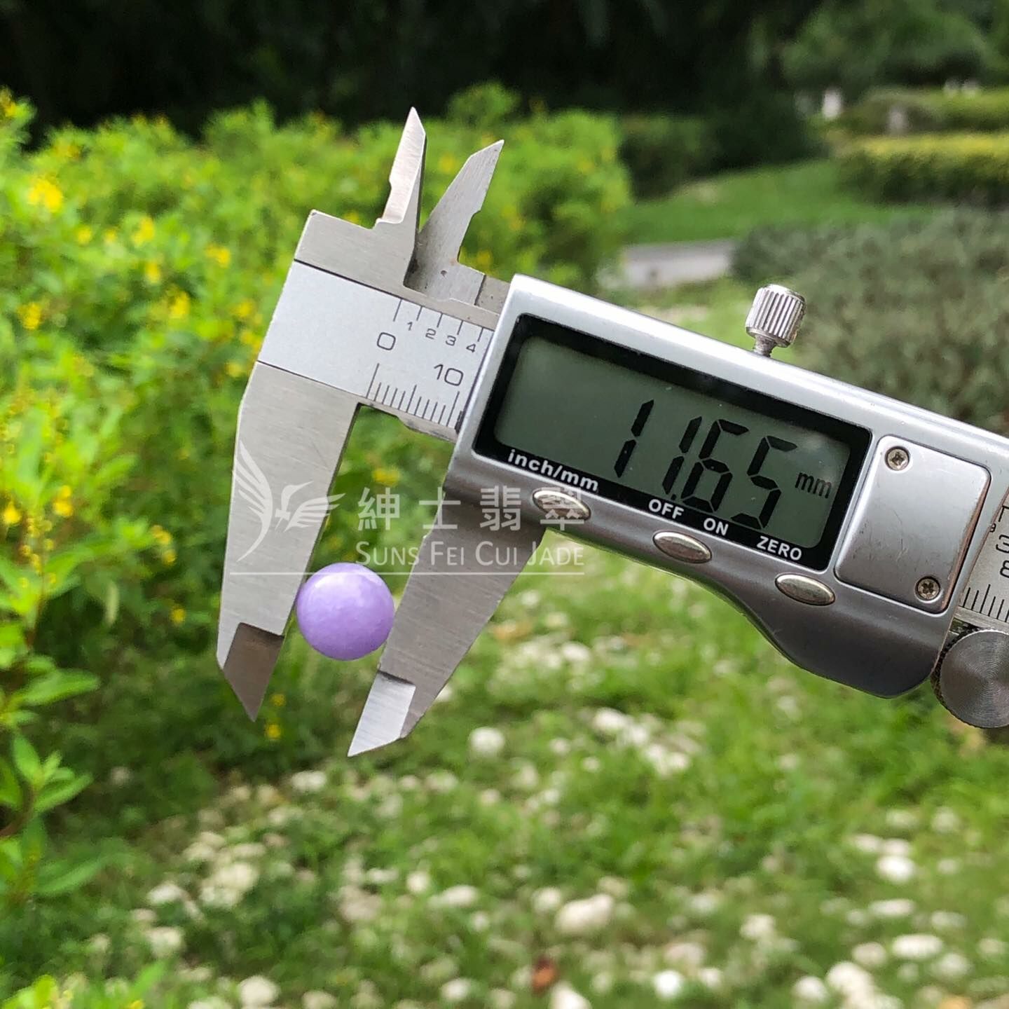 濃色正紫蛋面 - 13