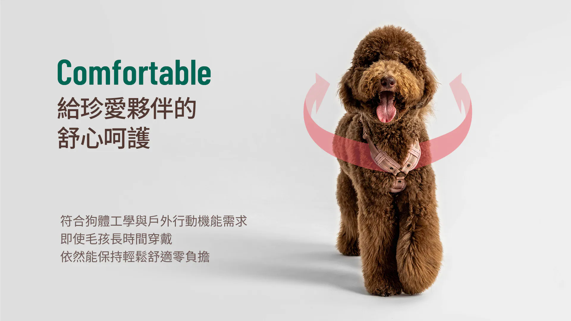 HORHORJOY 胸背帶 (經典 粉)
