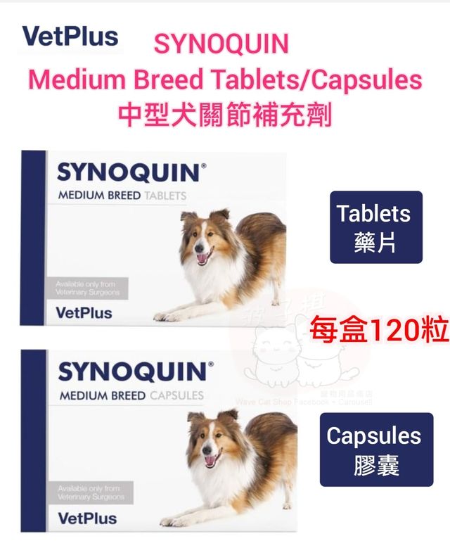 SYNOQUIN 中型犬用サプリメント 2箱 SYNOQUIN 中型犬用サプリメント 2箱