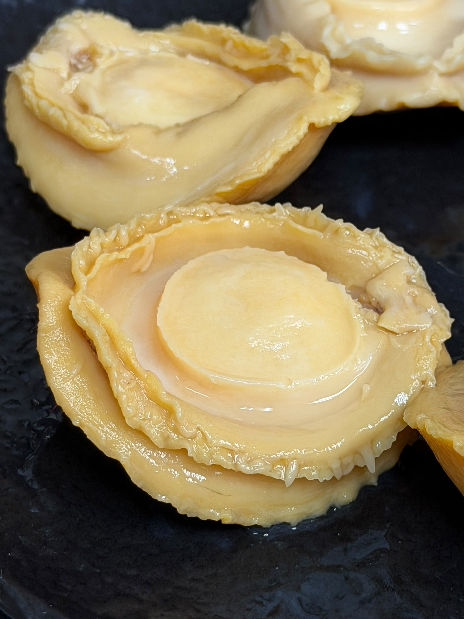 Abalone Premium Mexico紅包裝罐頭鮑魚4/6頭