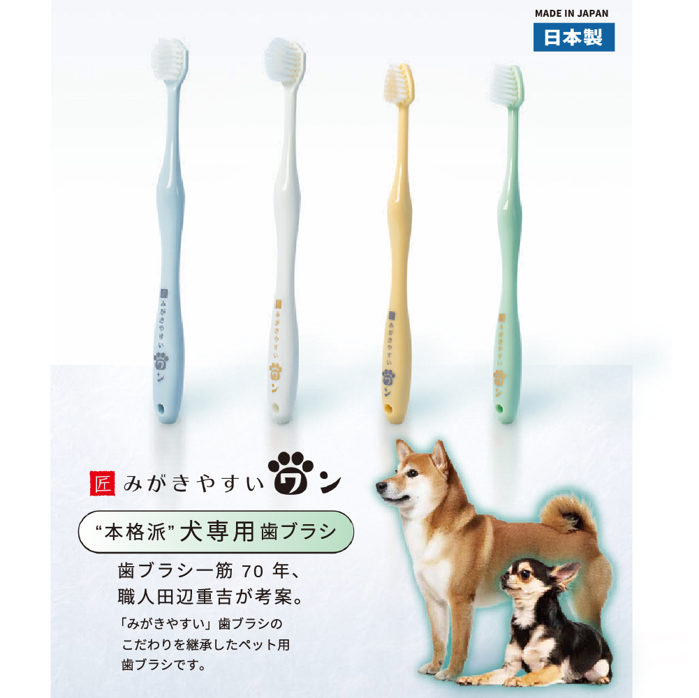 匠🇯🇵扁平頭牙刷【日本製】