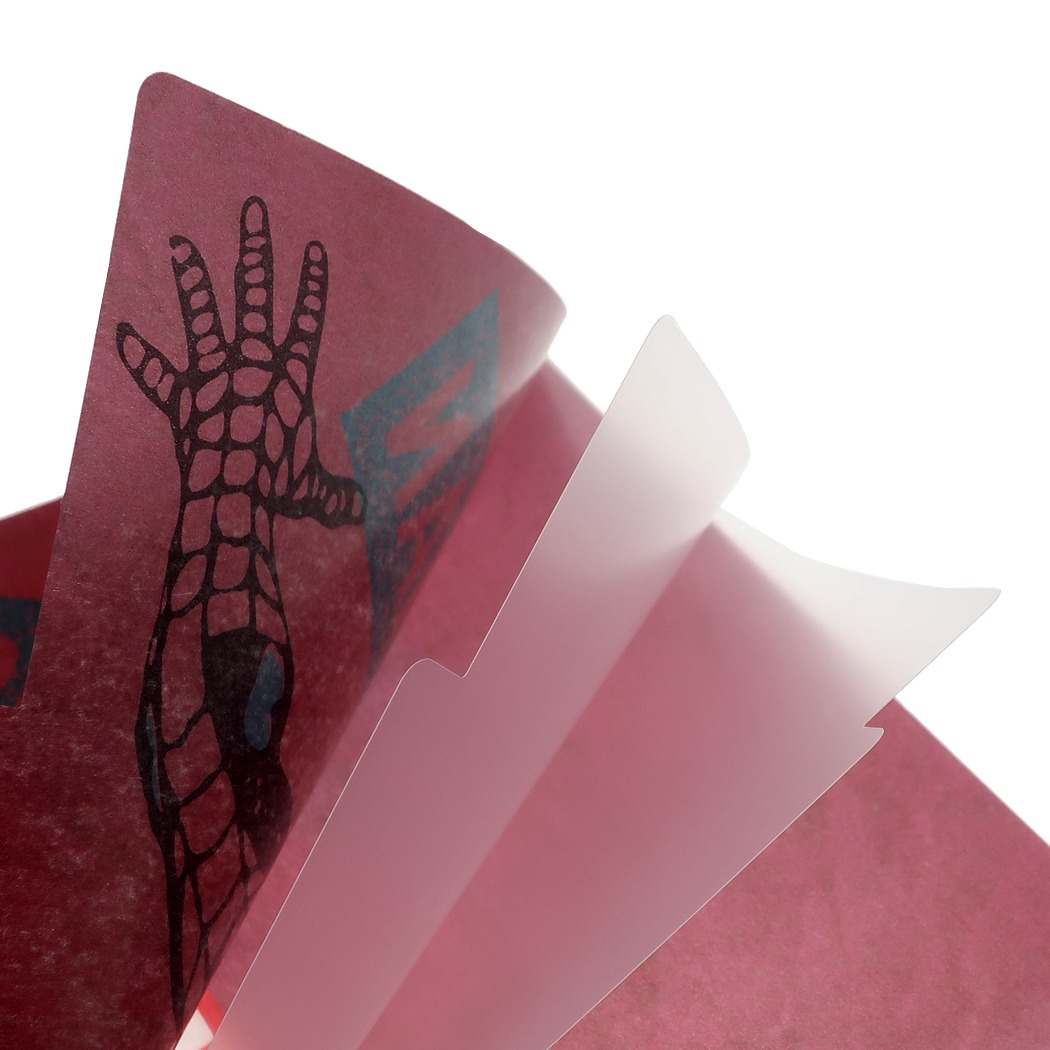 Spider-Man蜘蛛俠 和紙3分頁文件夾 (S2123770)