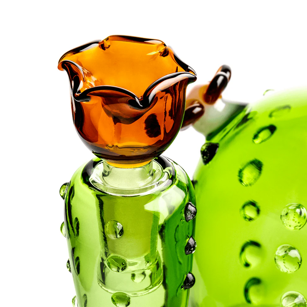 Happy Cactus XL Bong | HEMPER