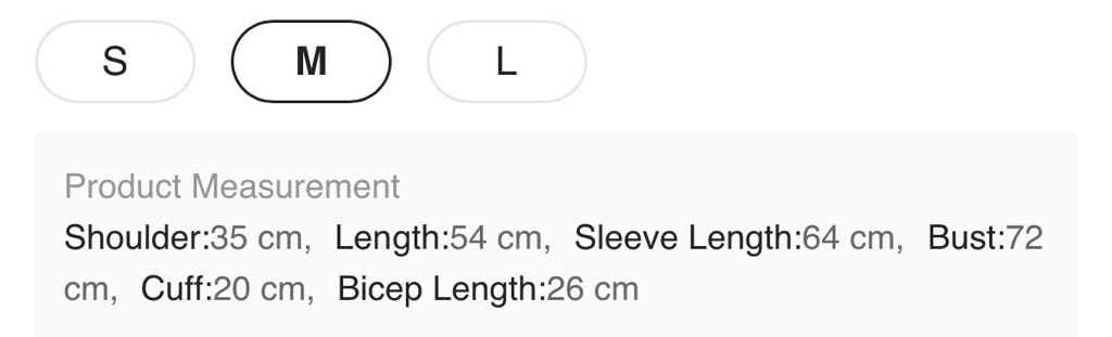 精緻蕾絲長袖上衣