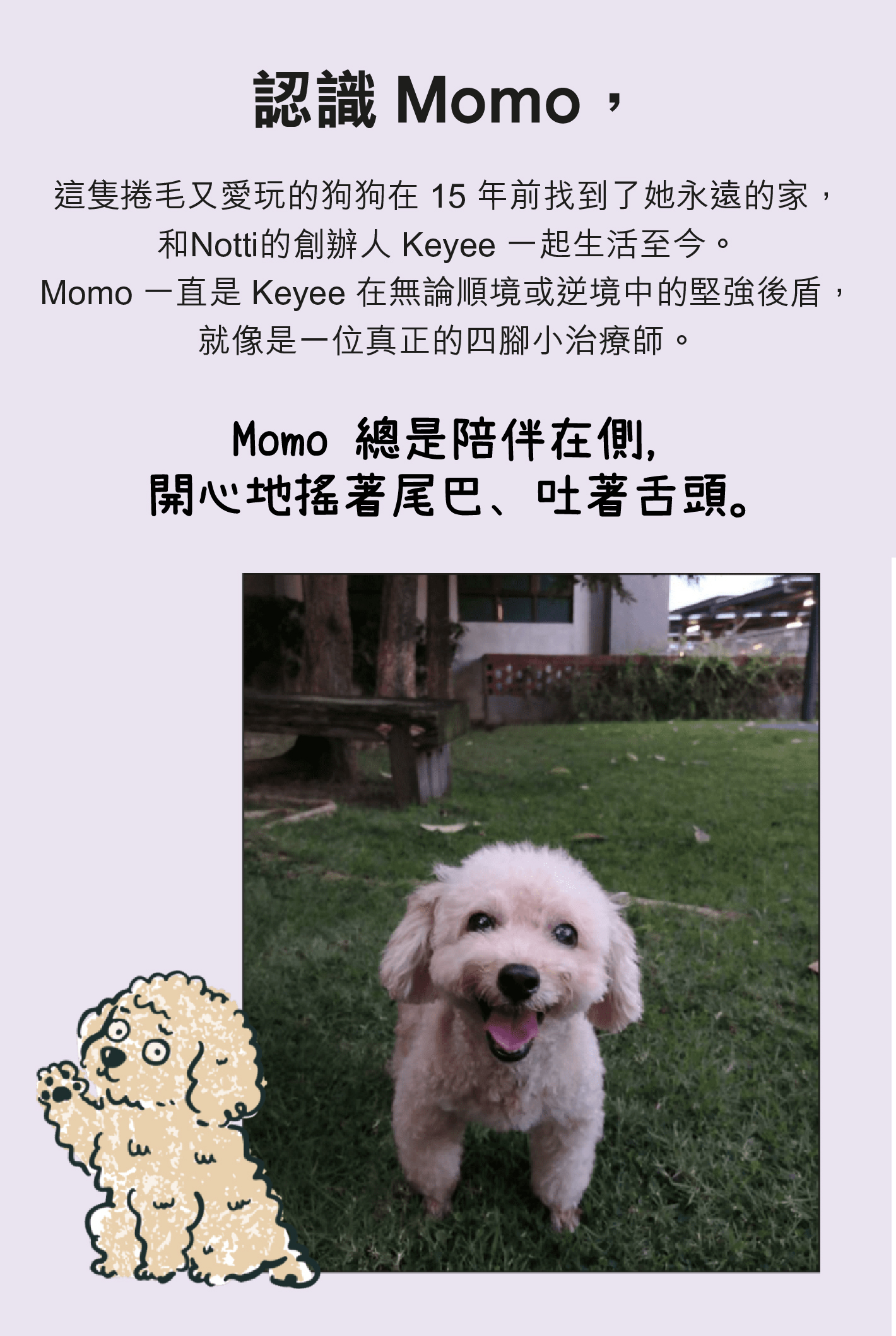 Mobile image