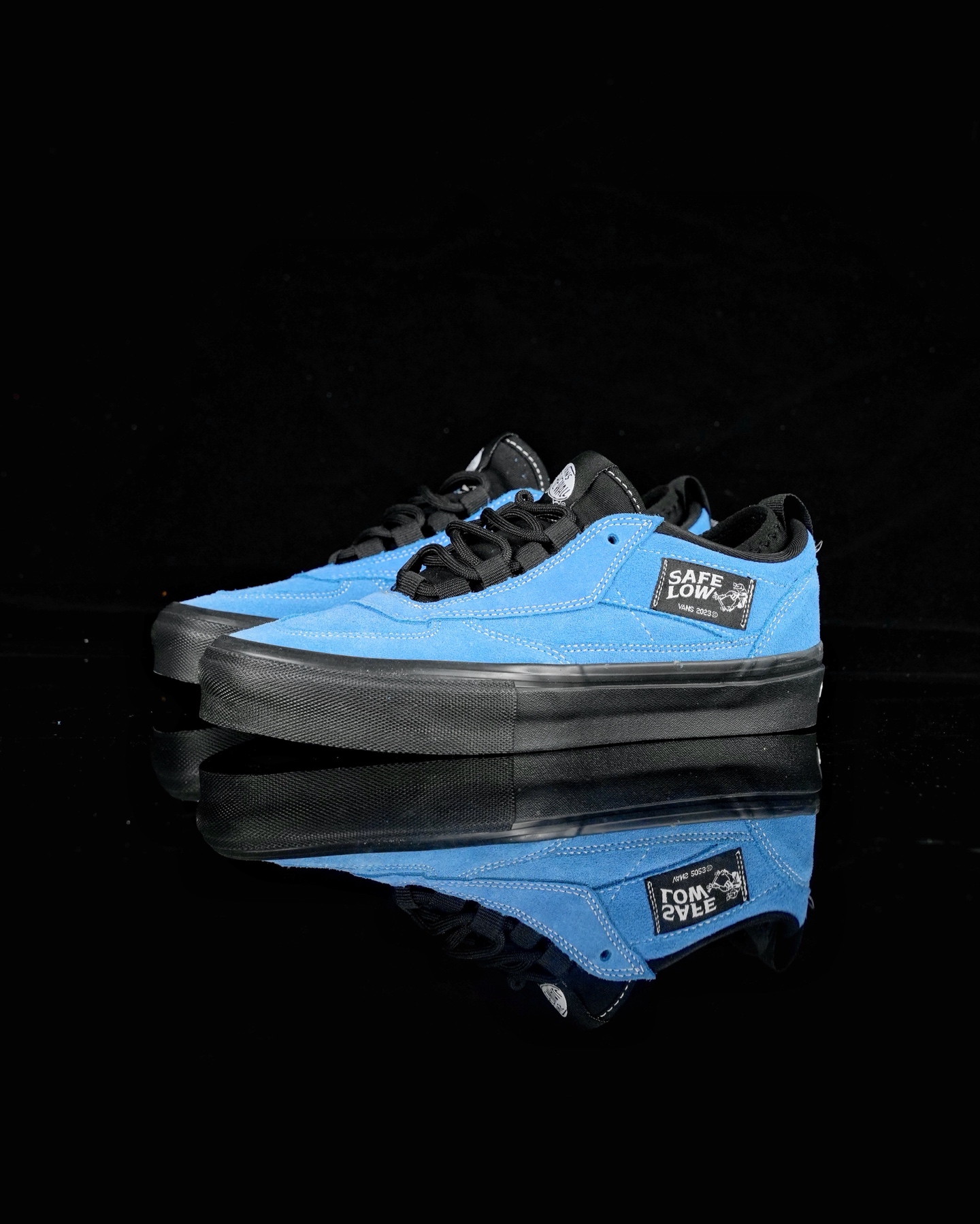 Vans Skate Safe Low