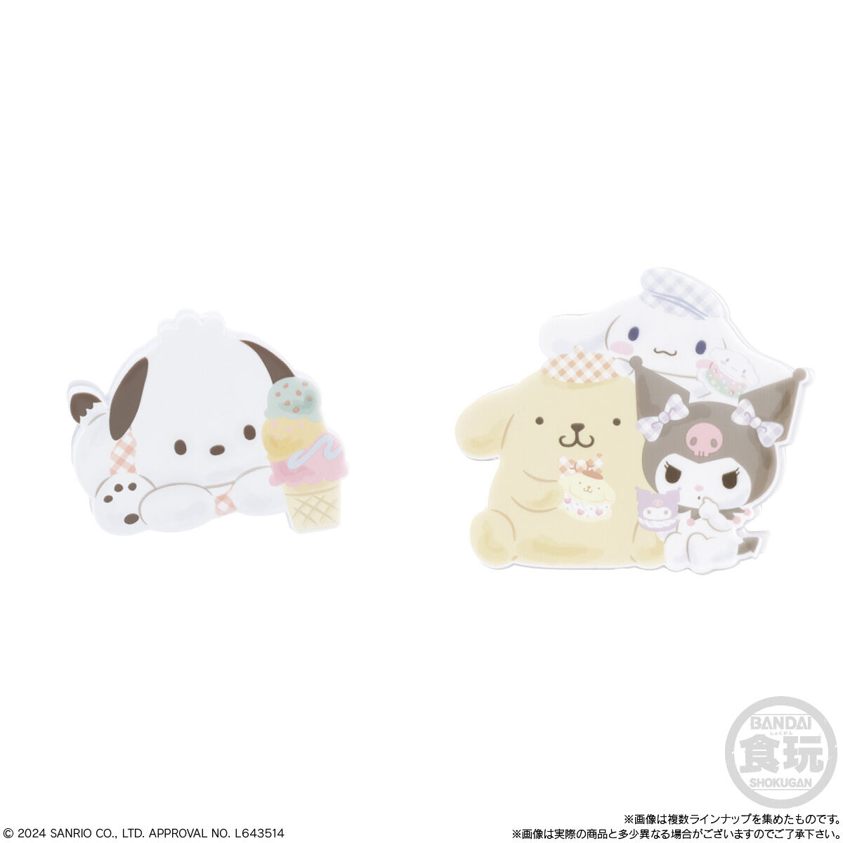 現貨 Bandai 食玩 Sanrio 文件夾