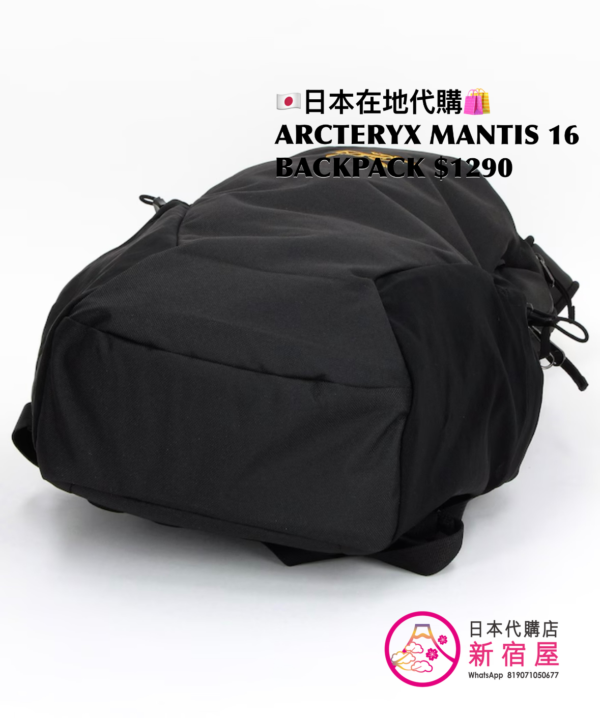 ARCTERYX MANTIS 16 BACKPACK
