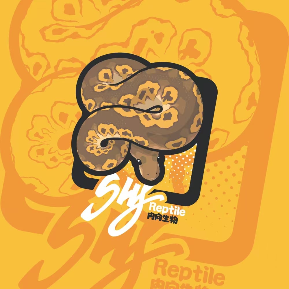 Shy Reptile