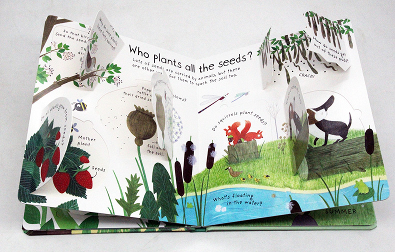 Usborne First Questions and Answers系列翻翻書 How Do Flowers Grow 花兒如何生長