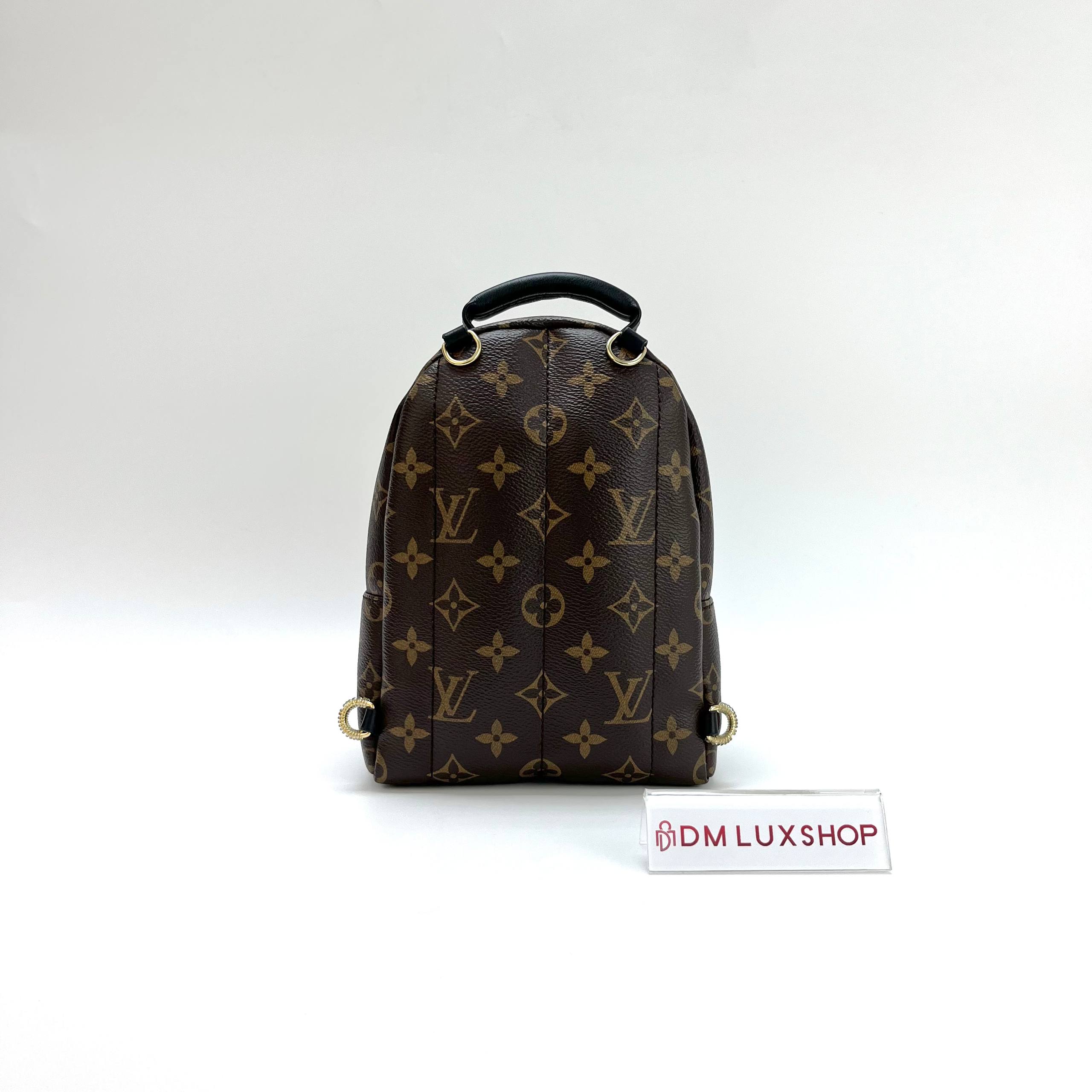 LV Monogram Palm Springs Mini GHW