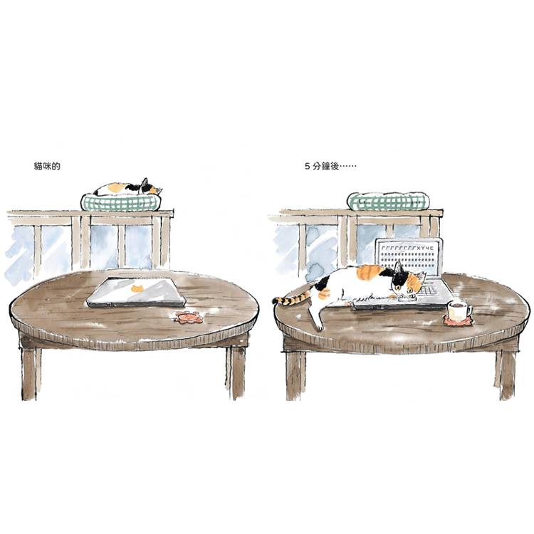 貓咪的5分鐘