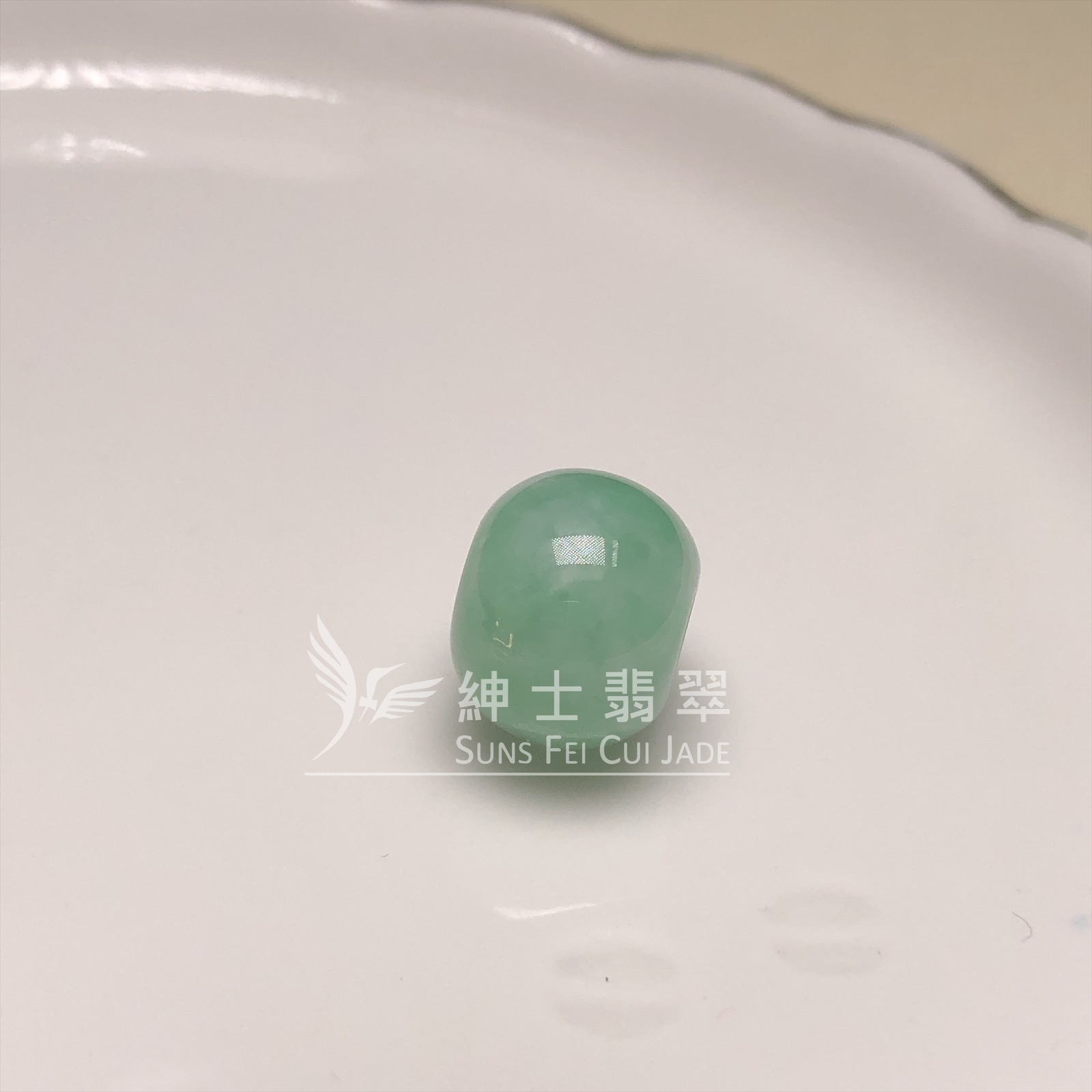 B08593 滿綠路路通