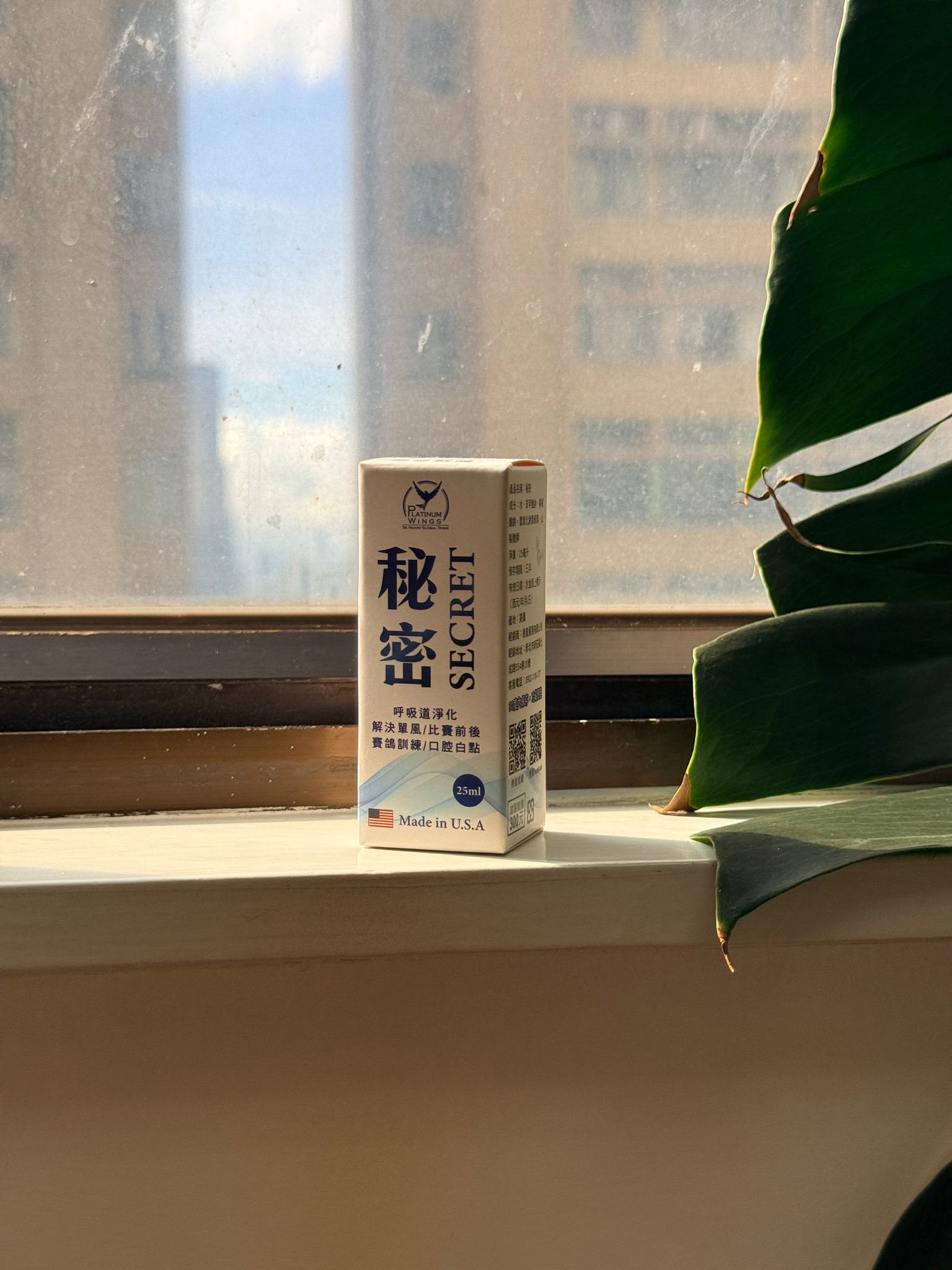 德皇戰鴿秘密