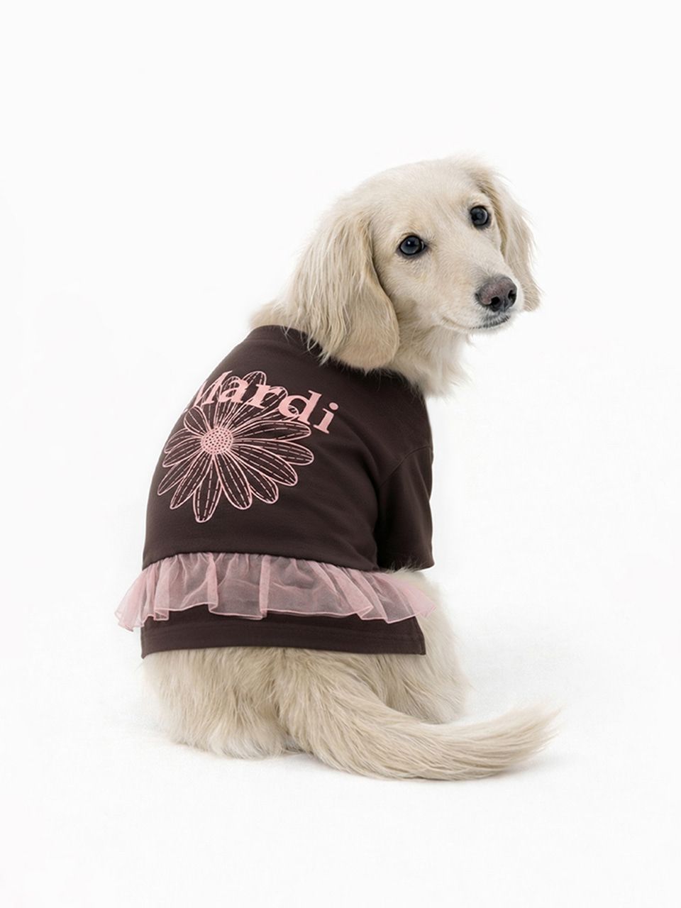 🇰🇷Mardi Mercredi🇰🇷🆕2026年最最新款🐶狗仔T恤