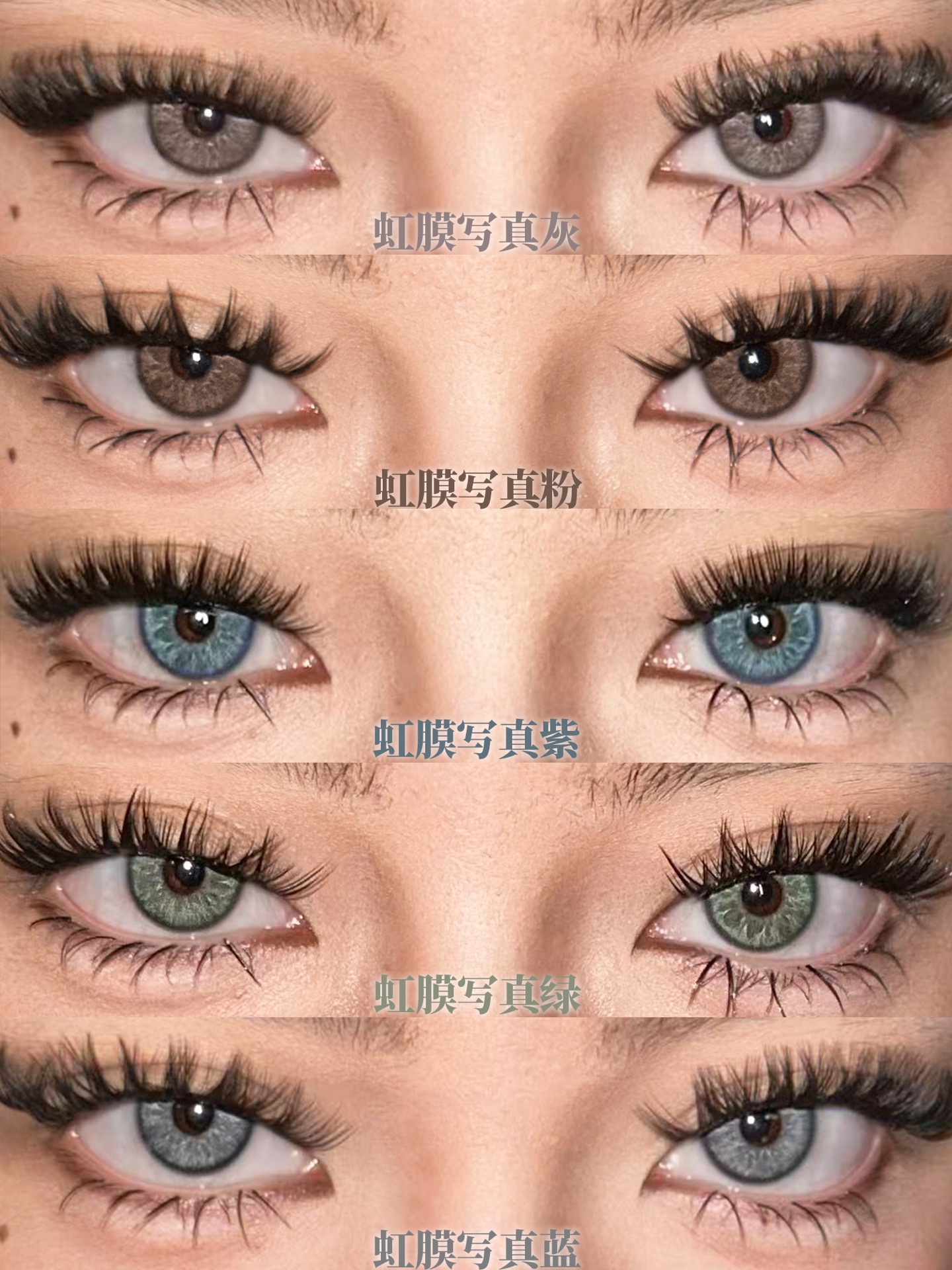 Serltyca 半年拋 混血虹膜款