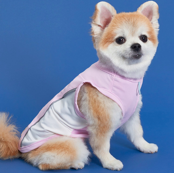 *SuperPet🇰🇷狗狗涼感機能背心