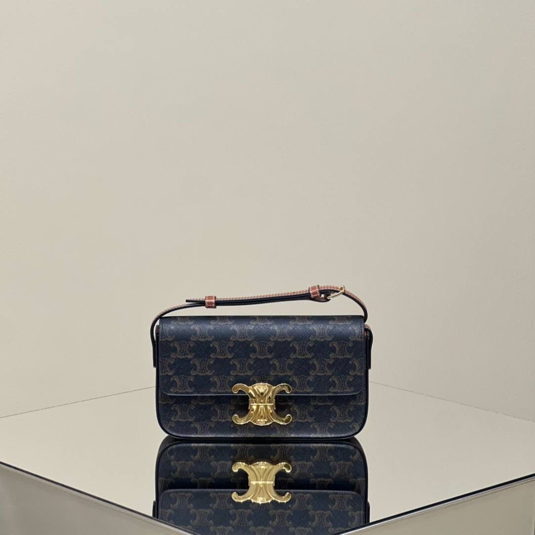 🔥大货实拍图 𝗖𝗘𝗟𝗜𝗡𝗘 ♥ 𝗧𝗥𝗜𝗢𝗠𝗣𝗛𝗘 𝗦𝗛𝗢𝗨𝗟𝗗𝗘𝗥 𝗕𝗔𝗚 型号：194142 尺寸：20*10*4cm