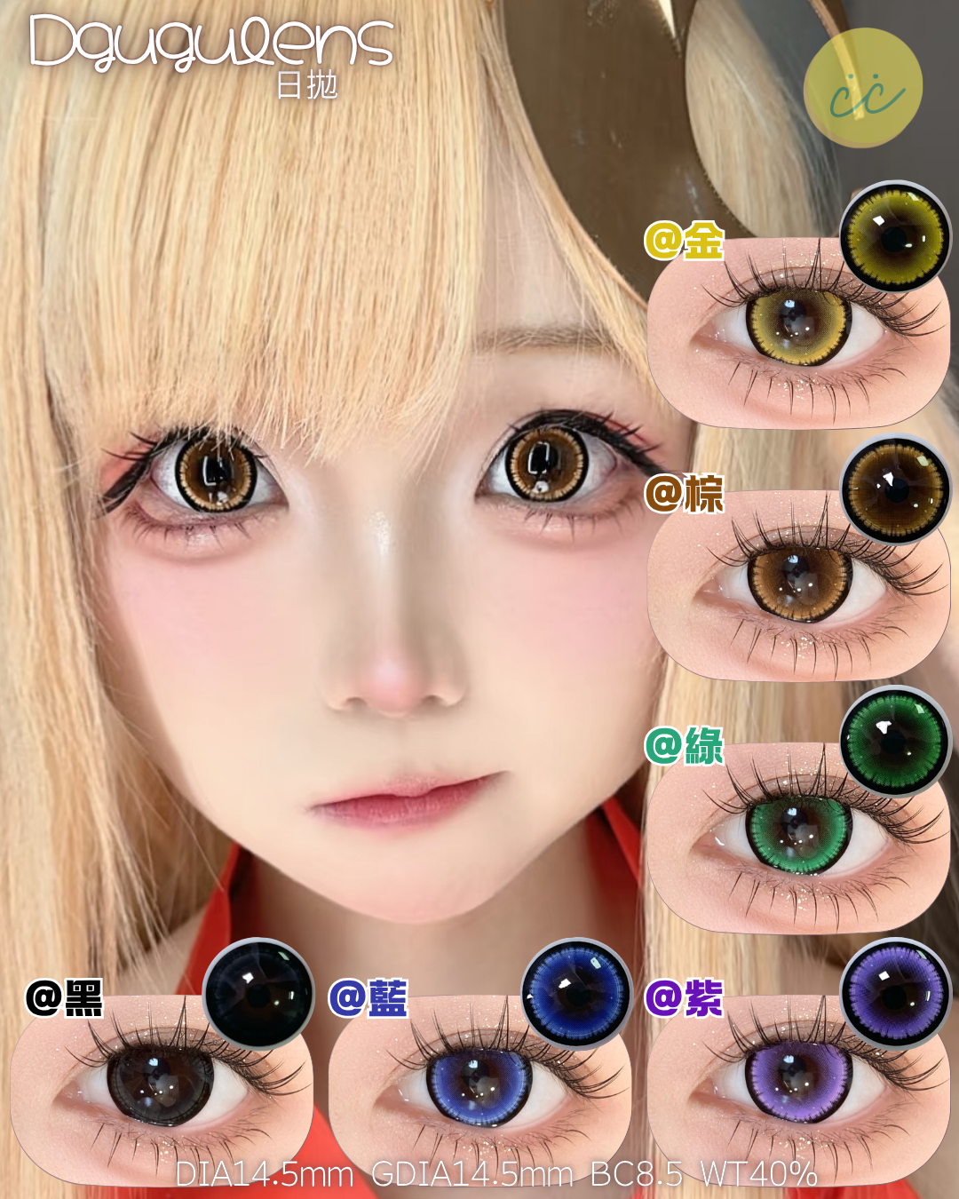 Dgugulens 日拋 大大顆系列