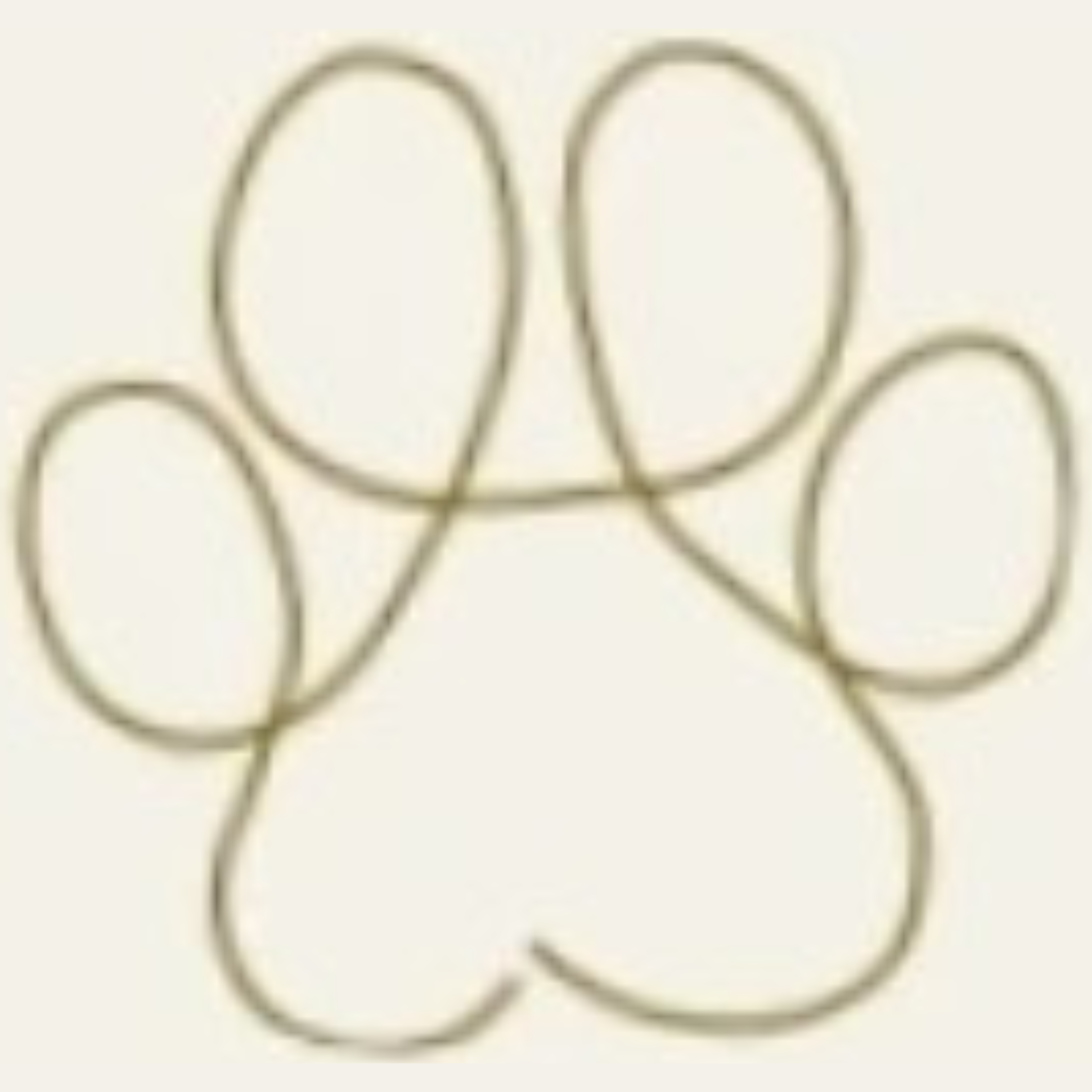 Aether Paws