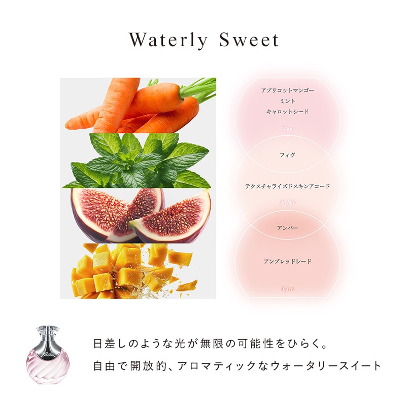 【Refa 新作】【✨️日本🇯🇵 ReFa The Perfume Hair Mist 香氛護髮噴霧✨️】30ml 